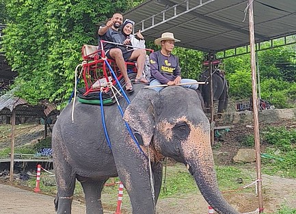 Feeding+Trekking with Elephants